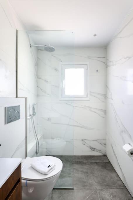 Blue Delta Apartment Palaio Faliro アテネ エクステリア 写真